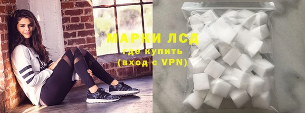 дживик Верхний Тагил