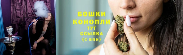 дживик Верхний Тагил