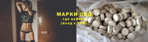 дживик Верхний Тагил