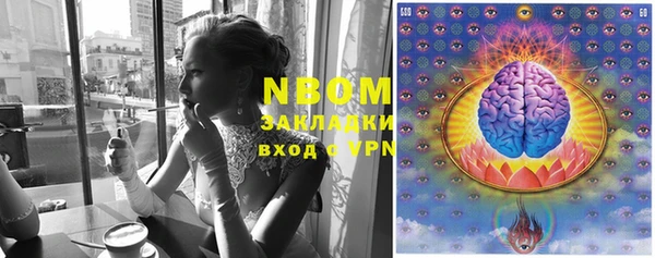 дживик Верхний Тагил