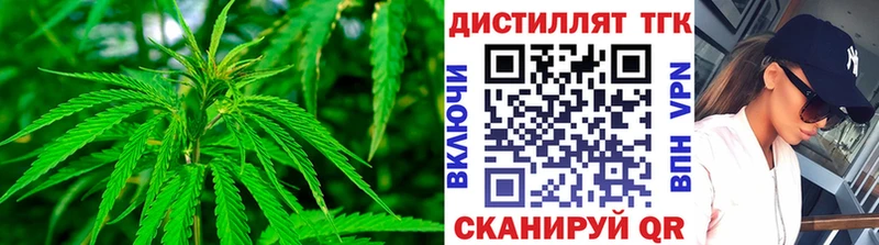 Купить закладки  Шадринск  Дистиллят ТГК гашишное масло 