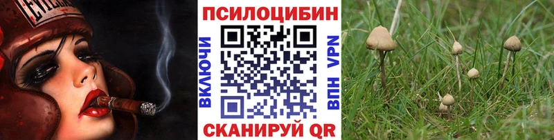 Купить где  Шадринск  Псилоцибиновые грибы GOLDEN TEACHER 